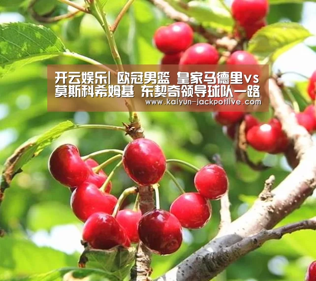 开云娱乐|
欧冠男篮 皇家马德里vs莫斯科希姆基 东契奇领导球队一路高飞(图1) 开云电竞