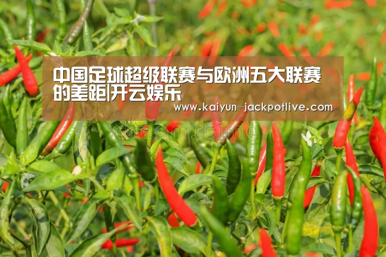 中国足球超级联赛与欧洲五大联赛的差距|开云娱乐(图2) 开云娱乐