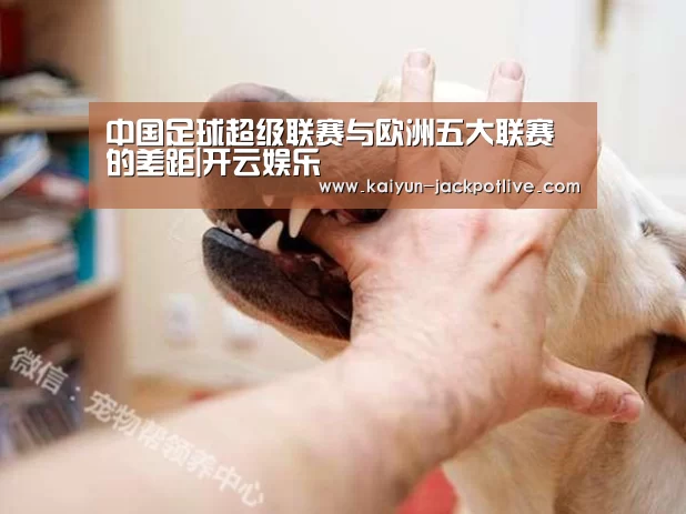 中国足球超级联赛与欧洲五大联赛的差距|开云娱乐(图3) 开云电竞