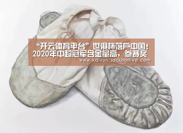 “开云体育平台”世俱杯落户中国!2020年中超冠军含金量高,参赛奖金2000万美元起(图4) 开云体育