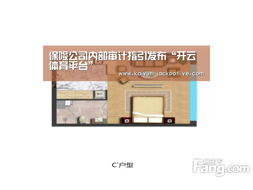保险公司内部审计指引发布“开云体育平台”(图1) 开云电竞